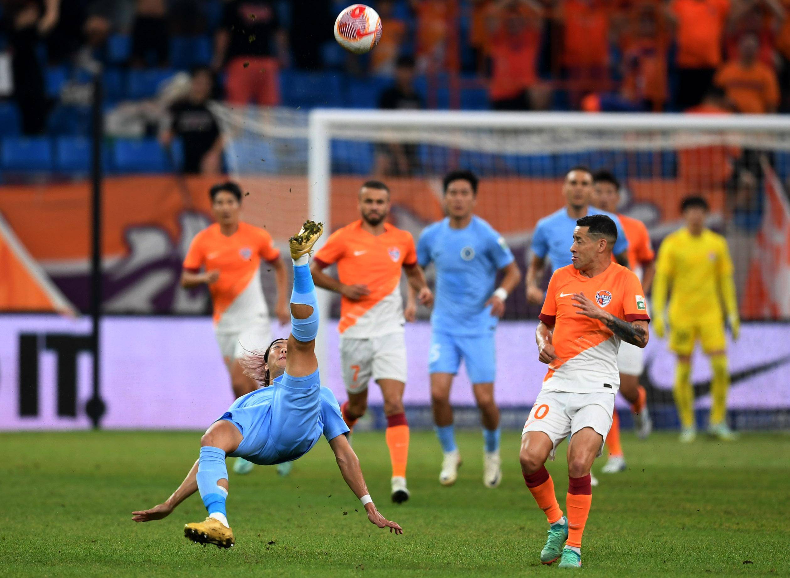 的价值足以 的价值足以